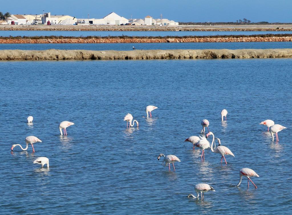 토레파체코 Masquestar Mar Menor 아파트 외부 사진